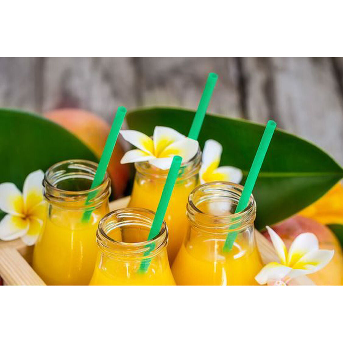 V3H4A7D090F2EFF9B6975A446A810C65E7DR5650799P4