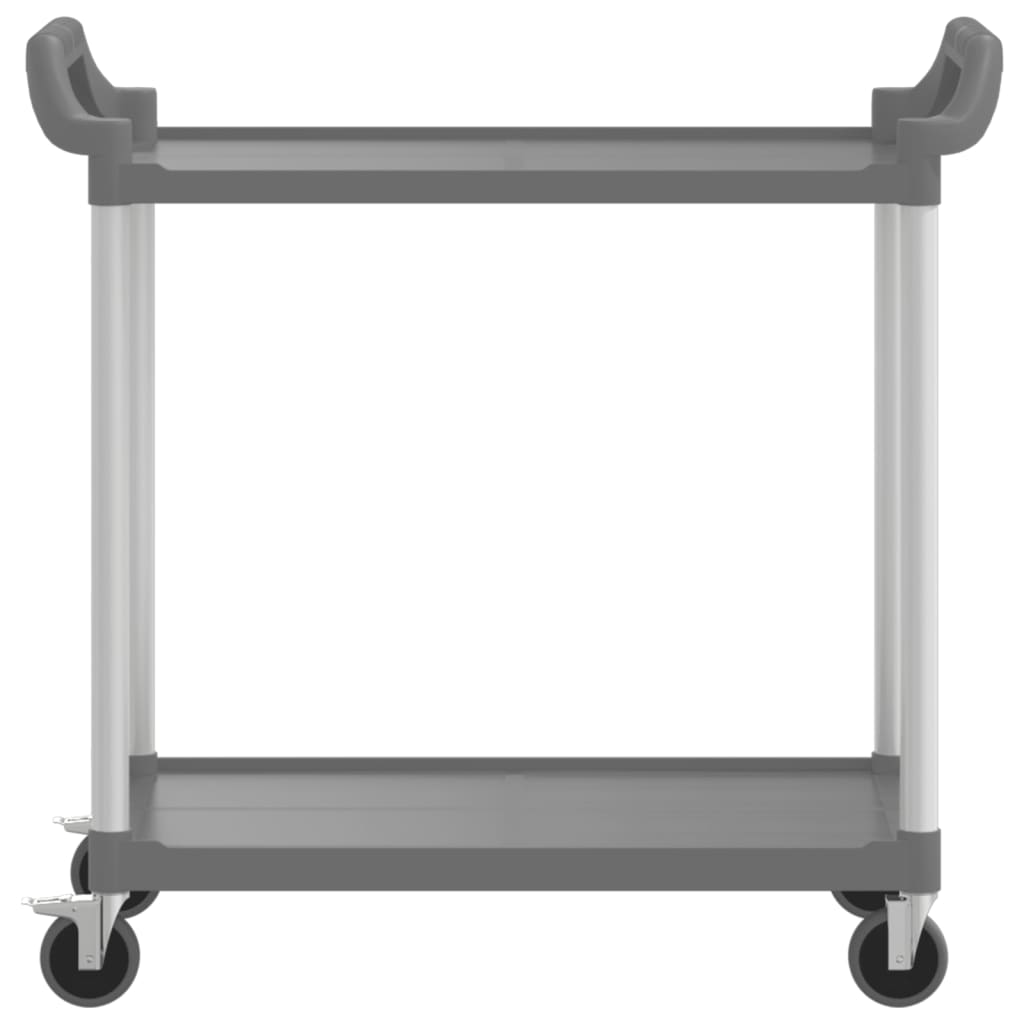 Trolley 2-laags 99x50x97 cm aluminium grijs