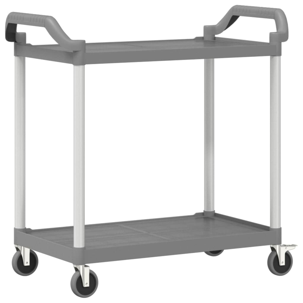 Trolley 2-laags 99x50x97 cm aluminium grijs