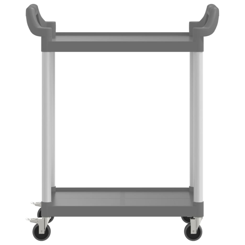 Trolley 2-laags 81x41x92 cm aluminium grijs