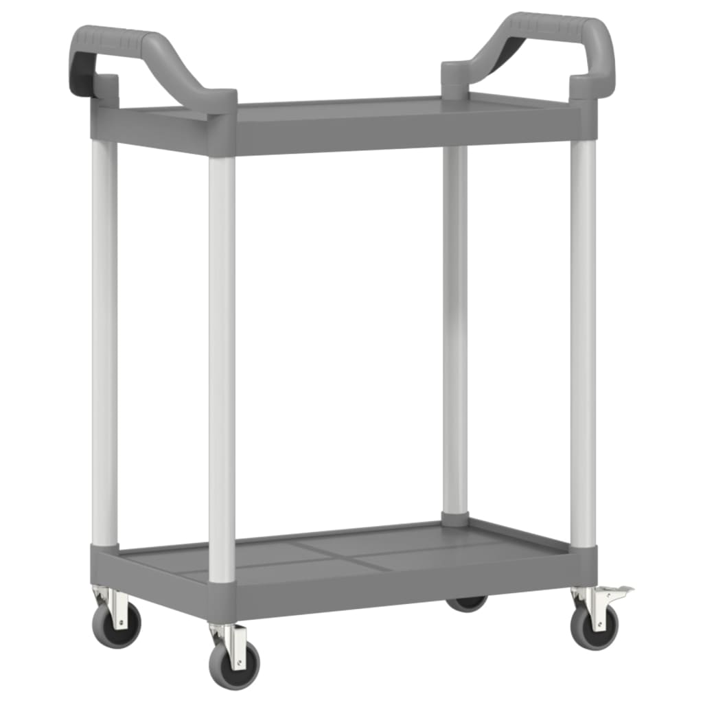 Trolley 2-laags 81x41x92 cm aluminium grijs